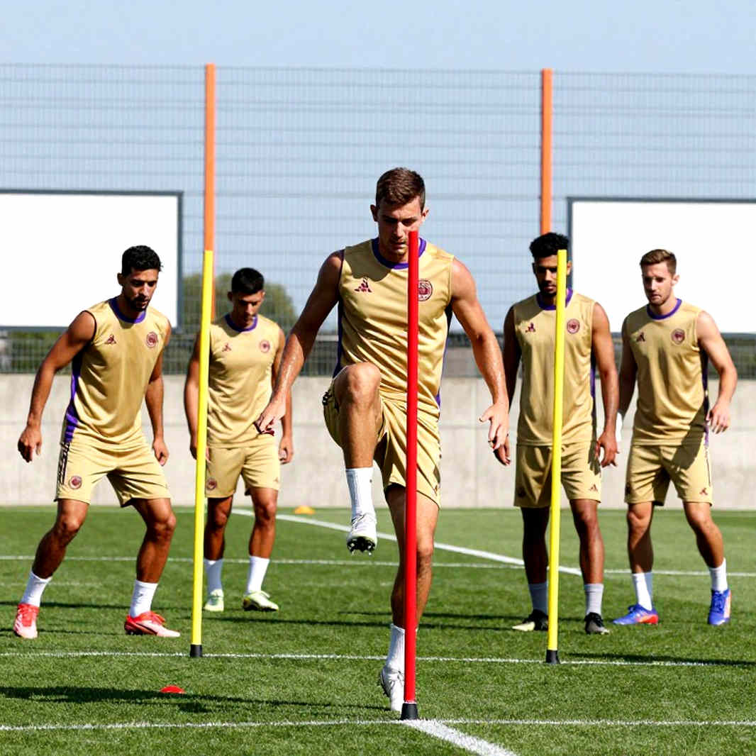 Hallgrimsson's Two Weeks: Ireland's Coach, the Palestine Question, and UEFA's Neutrality Test